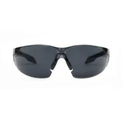 Gafas de seguridad solar Pegaso Omnis 205.02