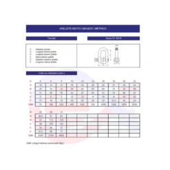 Grillete recto DIN-82101A cincado