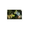 Linterna Coast HZ050 ATEX