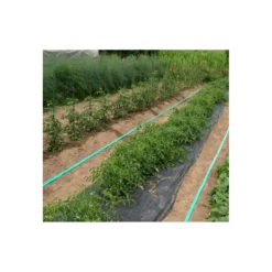 Manguera plana verde reforzada (Al Corte)