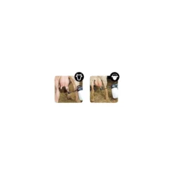 Pulverizador animales IK Teat Sprayer 1,5