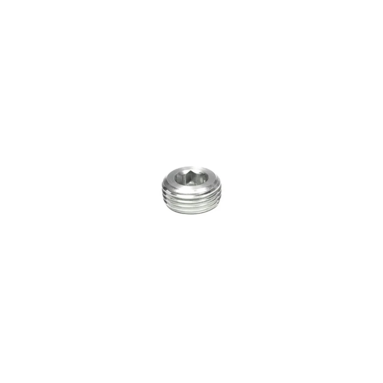 Tapón hexágono interior DIN-906 inoxidable