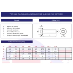 Tornillo allen ISO-7380 10.9 cincado