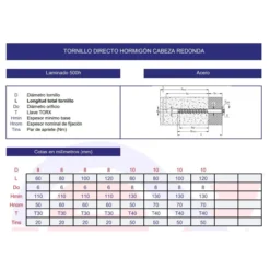 Tornillo directo hormig贸n cabeza redonda TORX laminado